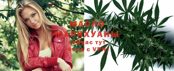 мет Арсеньев