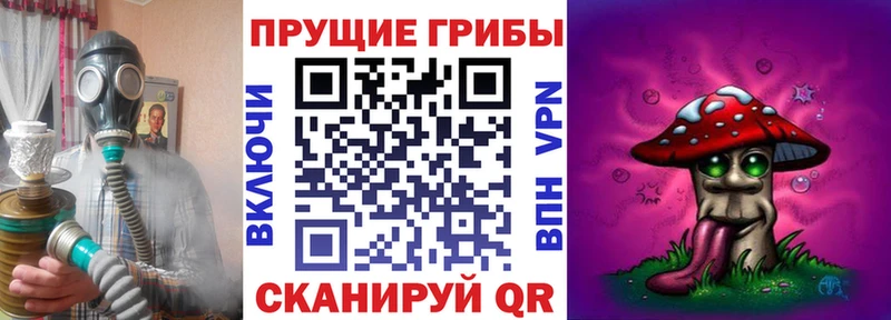Купить закладки  Верхний Тагил  Галлюциногенные грибы Cubensis 